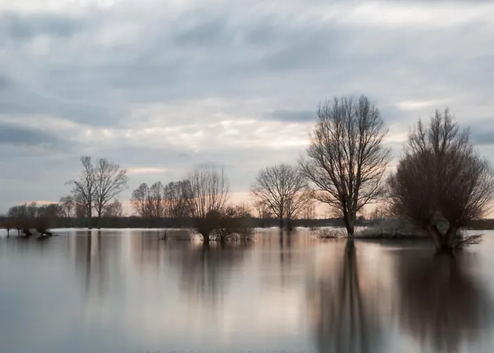 The Nicest In Holland!