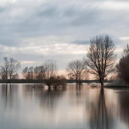 The Nicest In Holland!